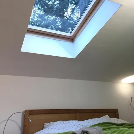 Pino Lux Apartment Sisava